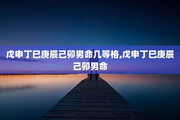 戊申丁巳庚辰己卯男命几等格,戊申丁巳庚辰己卯男命