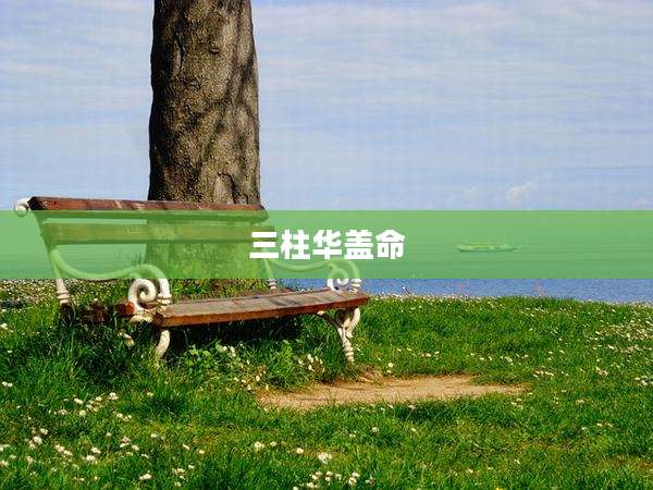 三柱华盖命