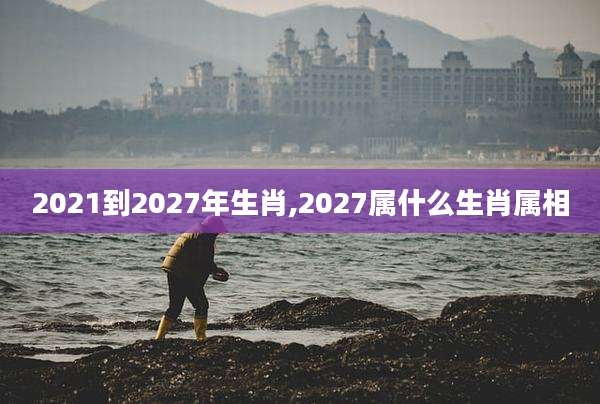 2021到2027年生肖,2027属什么生肖属相