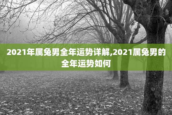 2021年属兔男全年运势详解,2021属兔男的全年运势如何