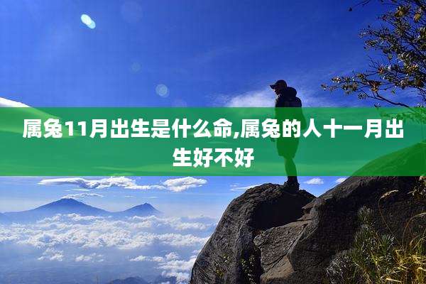 属兔11月出生是什么命,属兔的人十一月出生好不好
