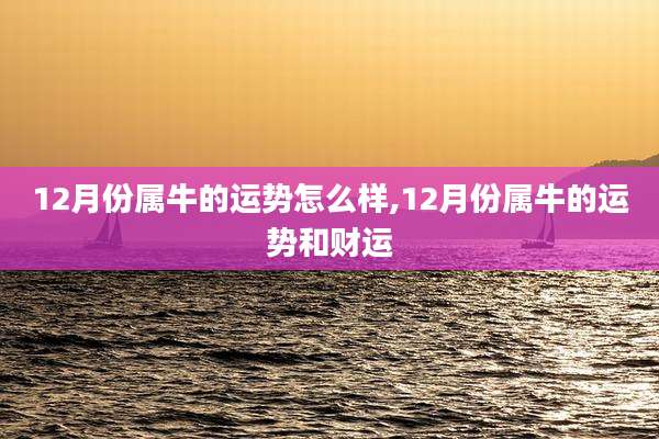 12月份属牛的运势怎么样,12月份属牛的运势和财运