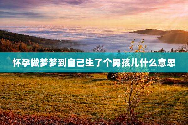 怀孕做梦梦到自己生了个男孩儿什么意思