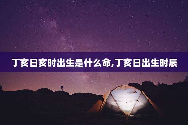 丁亥日亥时出生是什么命,丁亥日出生时辰