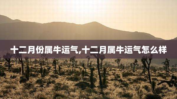 十二月份属牛运气,十二月属牛运气怎么样