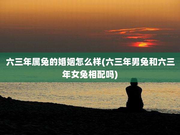 六三年属兔的婚姻怎么样(六三年男兔和六三年女兔相配吗)