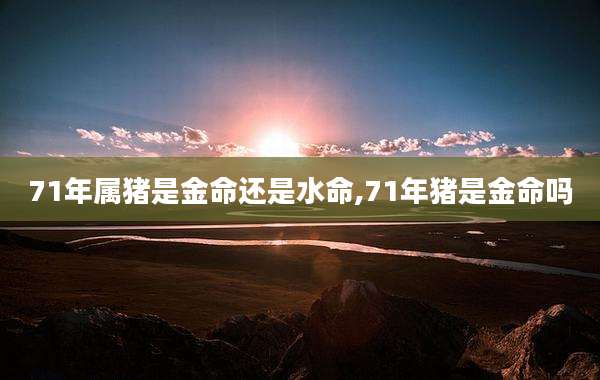 71年属猪是金命还是水命,71年猪是金命吗