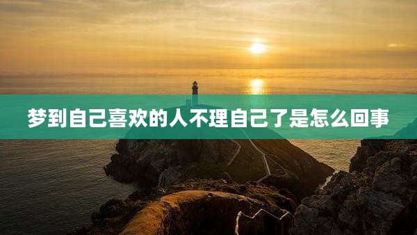 梦到自己喜欢的人不理自己了是怎么回事
