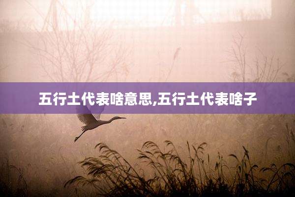 五行土代表啥意思,五行土代表啥子