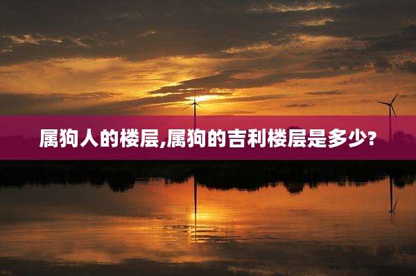 属狗人的楼层,属狗的吉利楼层是多少?