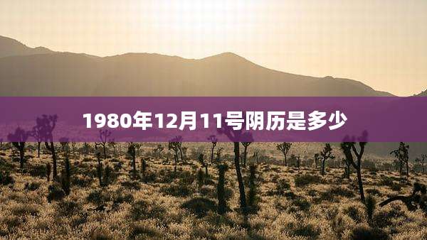 1980年12月11号阴历是多少