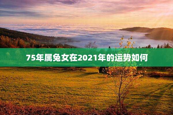 75年属兔女在2021年的运势如何
