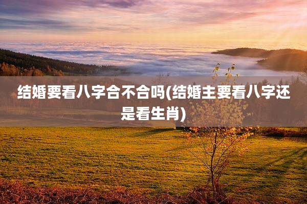 结婚要看八字合不合吗(结婚主要看八字还是看生肖)