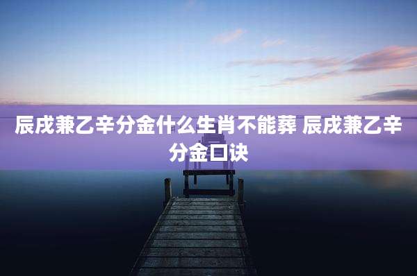辰戌兼乙辛分金什么生肖不能葬 辰戌兼乙辛分金口诀