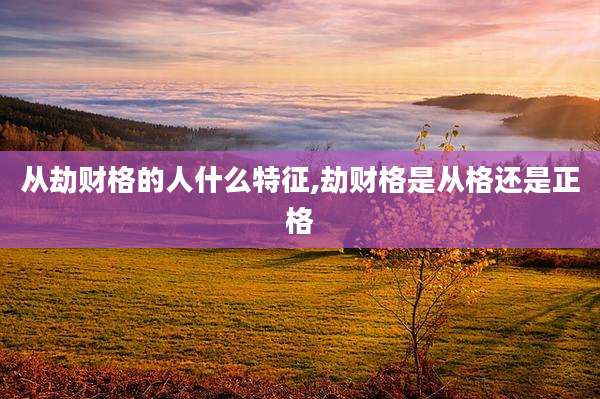 从劫财格的人什么特征,劫财格是从格还是正格