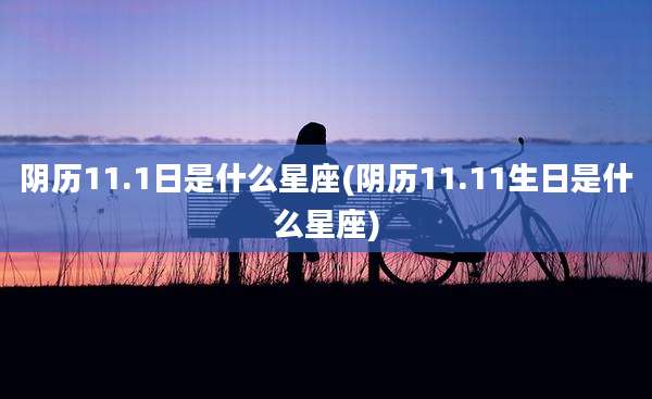 阴历11.1日是什么星座(阴历11.11生日是什么星座)