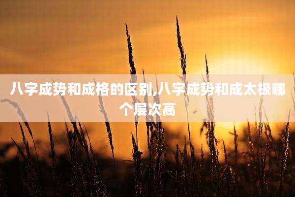 八字成势和成格的区别,八字成势和成太极哪个层次高