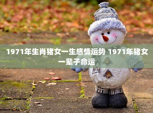 1971年生肖猪女一生感情运势 1971年猪女一辈子命运
