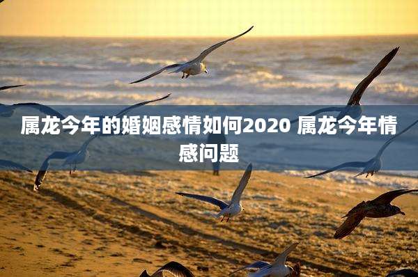 属龙今年的婚姻感情如何2020 属龙今年情感问题