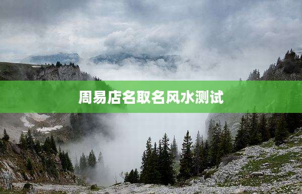 周易店名取名风水测试