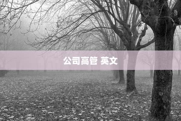 公司高管 英文