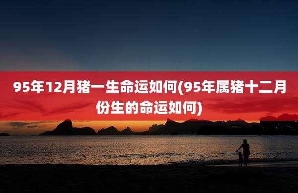 95年12月猪一生命运如何(95年属猪十二月份生的命运如何)