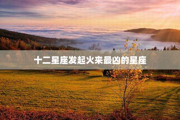 十二星座发起火来最凶的星座