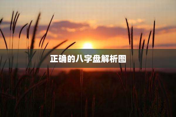 正确的八字盘解析图