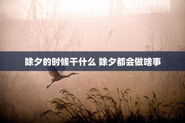 除夕的时候干什么 除夕都会做啥事