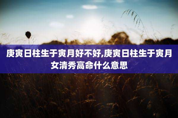 庚寅日柱生于寅月好不好,庚寅日柱生于寅月女清秀高命什么意思