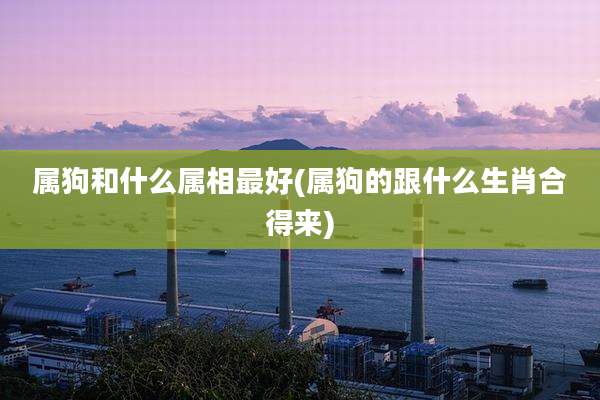 属狗和什么属相最好(属狗的跟什么生肖合得来)