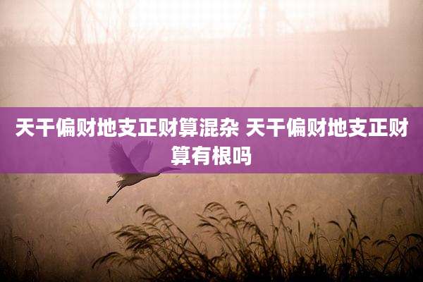 天干偏财地支正财算混杂 天干偏财地支正财算有根吗