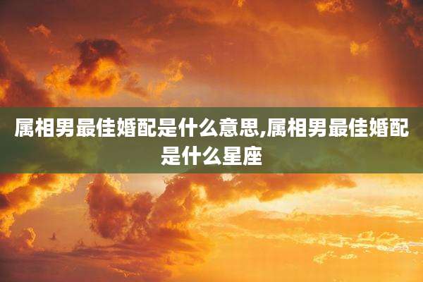 属相男最佳婚配是什么意思,属相男最佳婚配是什么星座