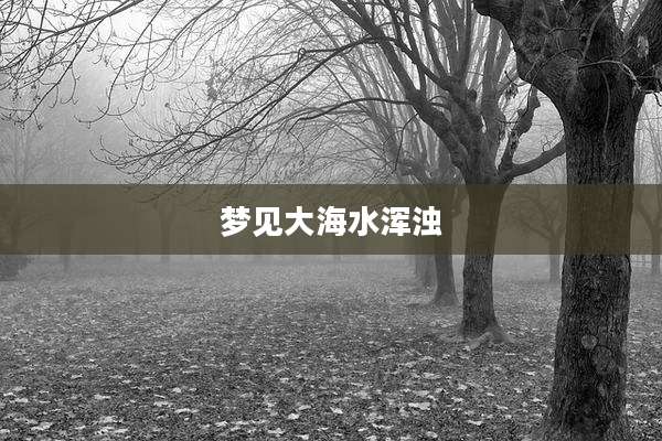 梦见大海水浑浊
