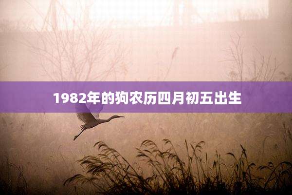 1982年的狗农历四月初五出生