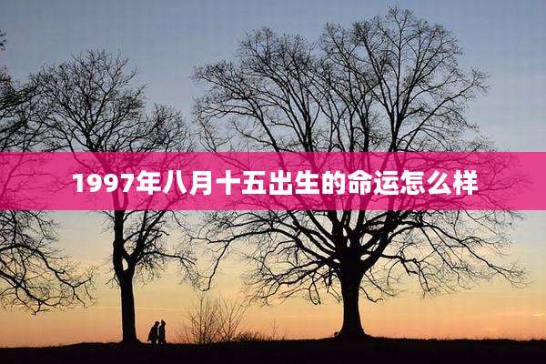 1997年八月十五出生的命运怎么样