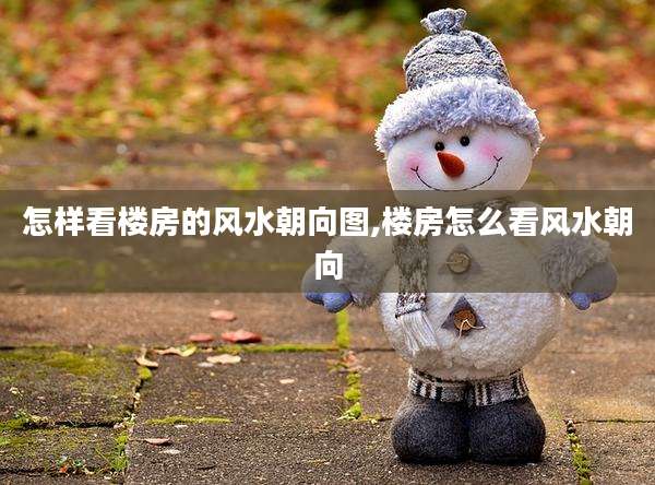 怎样看楼房的风水朝向图,楼房怎么看风水朝向