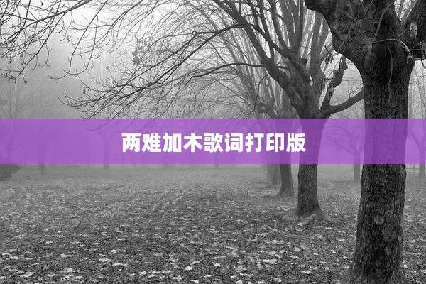 两难加木歌词打印版
