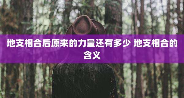 地支相合后原来的力量还有多少 地支相合的含义