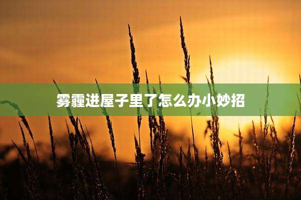 雾霾进屋子里了怎么办小妙招
