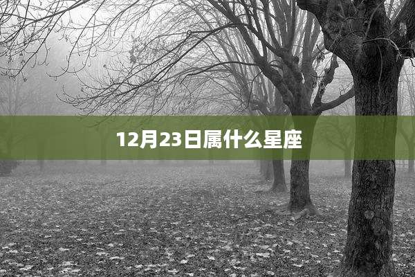 12月23日属什么星座