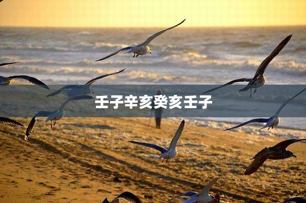 壬子辛亥癸亥壬子