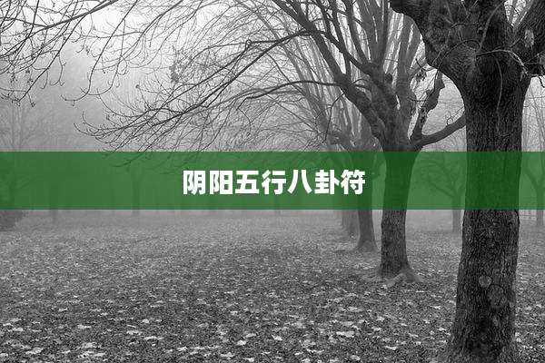阴阳五行八卦符