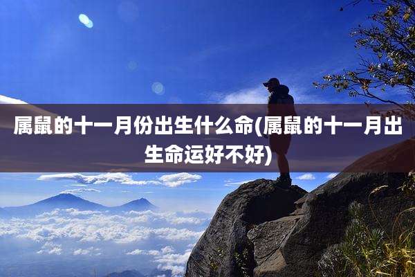 属鼠的十一月份出生什么命(属鼠的十一月出生命运好不好)