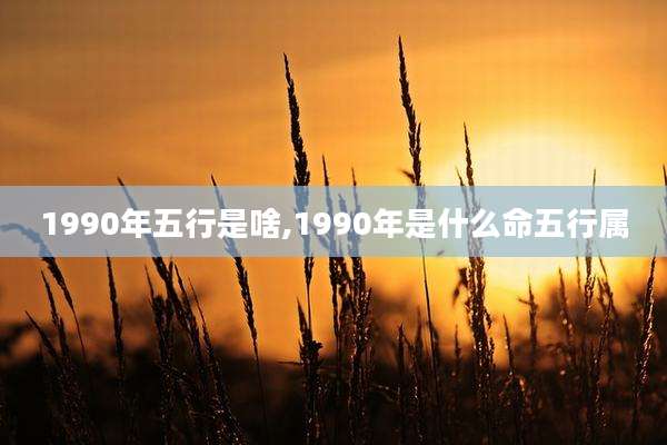 1990年五行是啥,1990年是什么命五行属