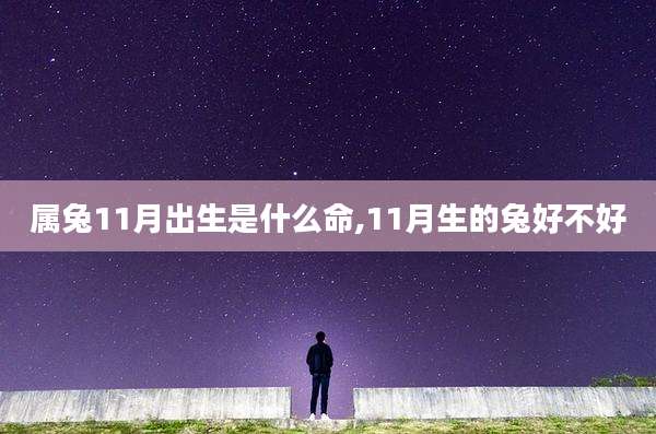 属兔11月出生是什么命,11月生的兔好不好