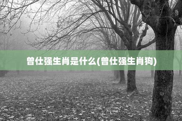 曾仕强生肖是什么(曾仕强生肖狗)