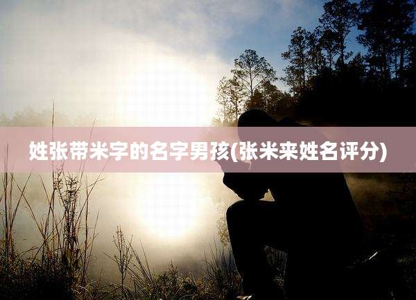 姓张带米字的名字男孩(张米来姓名评分)