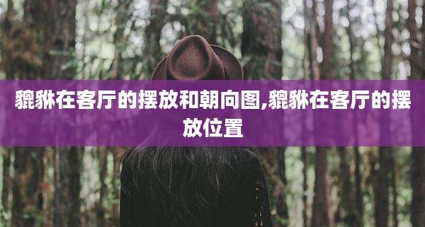 貔貅在客厅的摆放和朝向图,貔貅在客厅的摆放位置