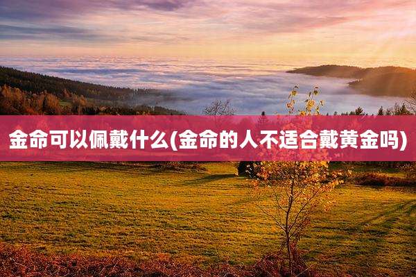 金命可以佩戴什么(金命的人不适合戴黄金吗)
